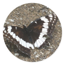 black and white butterfly stickers by pinkypetals black and white butterfly stickers