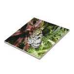 Black and White Butterfly Tiles