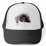 Black and white cat big yellow eyes looking right mesh hat