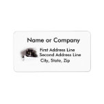 Black and white cat big yellow eyes looking right custom address label