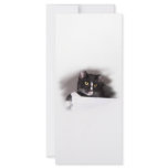 Black and white cat big yellow eyes looking right custom rack cards