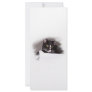 Black and white cat big yellow eyes looking right custom rack cards