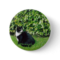 Black and White Cat buttons