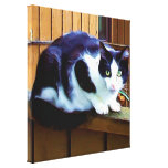 Black and white cat canvas print
