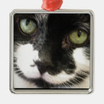 black and white cat christmas tree ornament