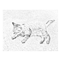Black and White Cat Digital Drawing posters