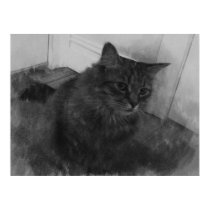 Black and White Cat Digital Sketch posters