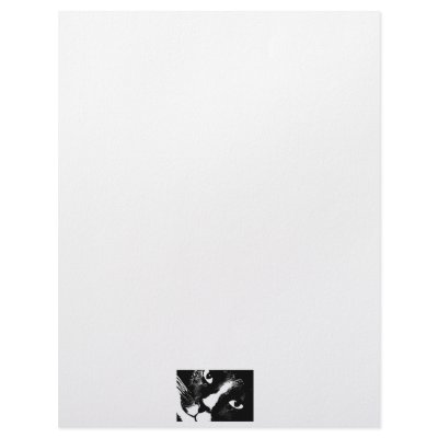 Black and white cat face close up letterhead template by SusansZooCrew