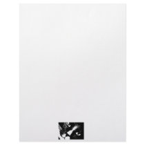 Black and white cat face close up letterhead template