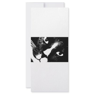 Black and white cat face close up custom rack card by SusansZooCrew