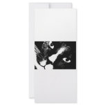 Black and white cat face close up custom rack card
