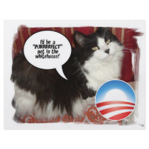 Black and White Cat flyers by SpeakYourMind Black and White Cat flyers