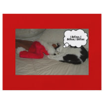 Black and White Cat flyers