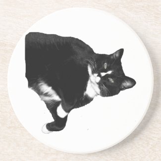 Black and White Cat Looking Up Cutout coaster