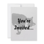 Black and White Cat Looking Up Cutout Announcement