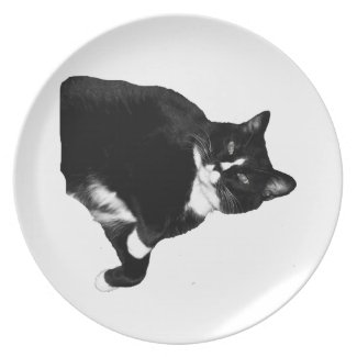 Black and White Cat Looking Up Cutout plate