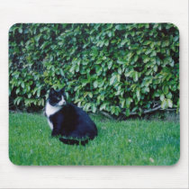 Black and White Cat mousepads