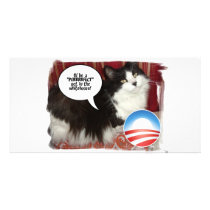 black and white cat photo cards by SpeakYourMind black and white cat photo cards