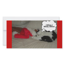 Black and White Cat photo cards