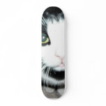 Black And White Cat Skate Board Decks