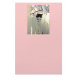 Black and White Cat Customized Stationery