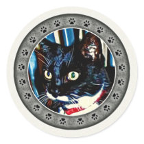 Black and White Cat Sticker