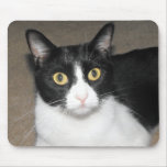 black and white cat with big yellow eyes mouse pad