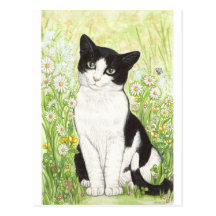 Black and White cat with daisies Postcard