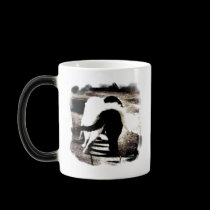 Black and White Cats mugs