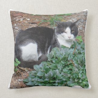 Black and white CATS modern pillow