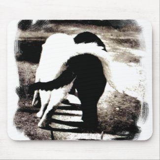 Black and White Cats mousepad