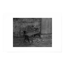 Black and White Cemetery Bench posters