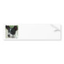 Black and White Chihuahua Bumper Stickers