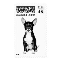 Black and White Chihuahua postage