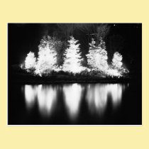 Black and White Christmas Tree postcards