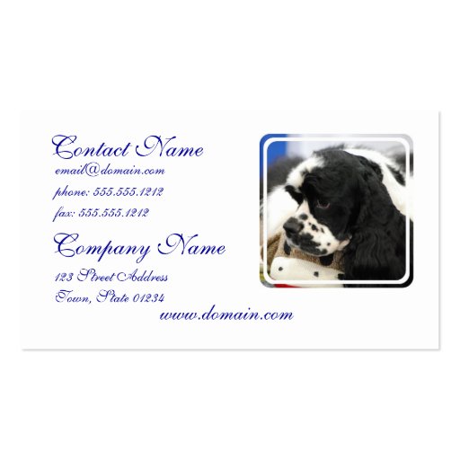 Black and White Cocker Spaniel Business Cards (front side)
