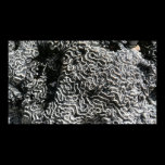 Black and White Coral Abstract Photography Print