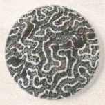 Black and White Coral Coaster