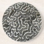 Black and White Coral Coaster