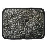 Black and White Coral Folio Planner