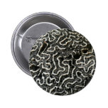 Black and White Coral II Abstract Nature Photo Pinback Button