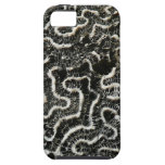 Black and White Coral iPhone5 Case iPhone 5 Case