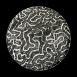 Black and White Coral Nature Magnet