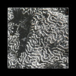 Black and White Coral Nature Magnet