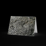 Black and White Coral Nature Photography Note Card