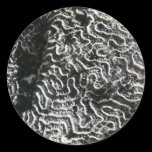 Black and White Coral Nature Sticker