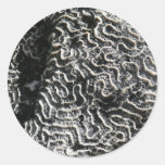 Black and White Coral Nature Sticker
