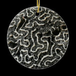 Black and White Coral Ornament