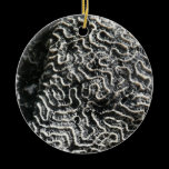 Black and White Coral Ornament