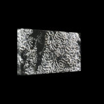 Black and White Coral Wrapped Canvas Stretched Canvas Print